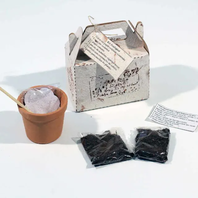 Kit ecologico com papel semente