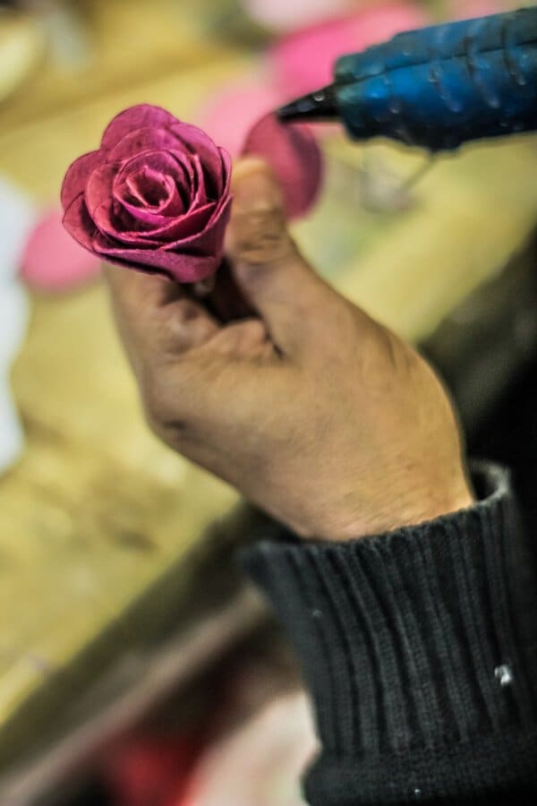 Temporada das Flores 02