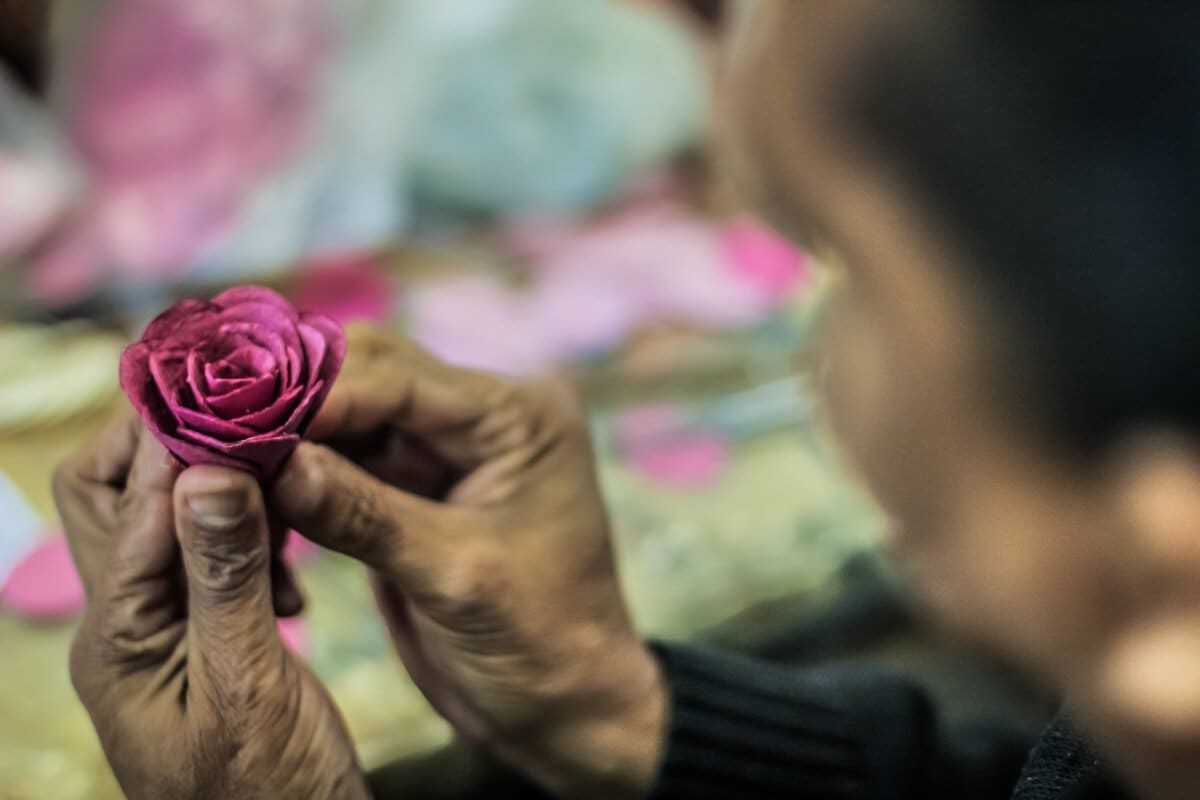 Temporada das Flores 04