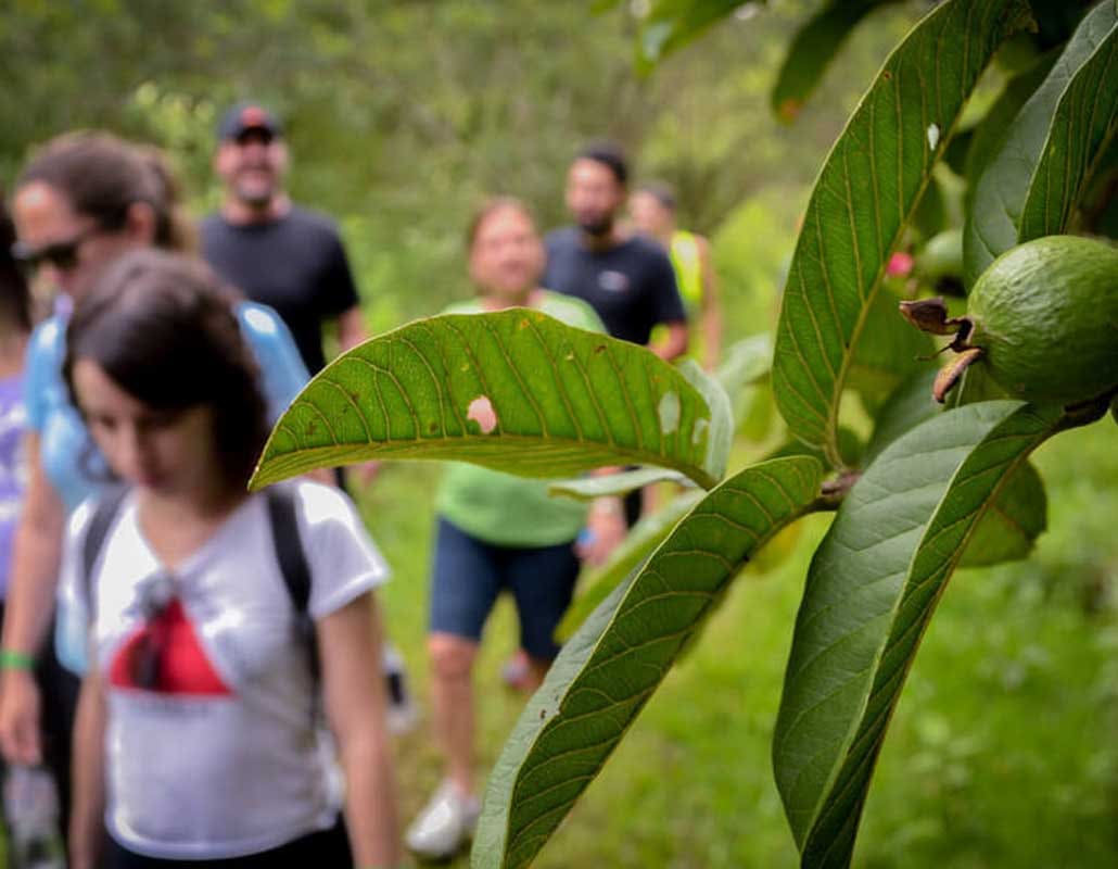 DIA 8 DE JUNHO TEM CAMINHADA SOLIDÁRIA NAS TRILHAS DO CÂNDIDO