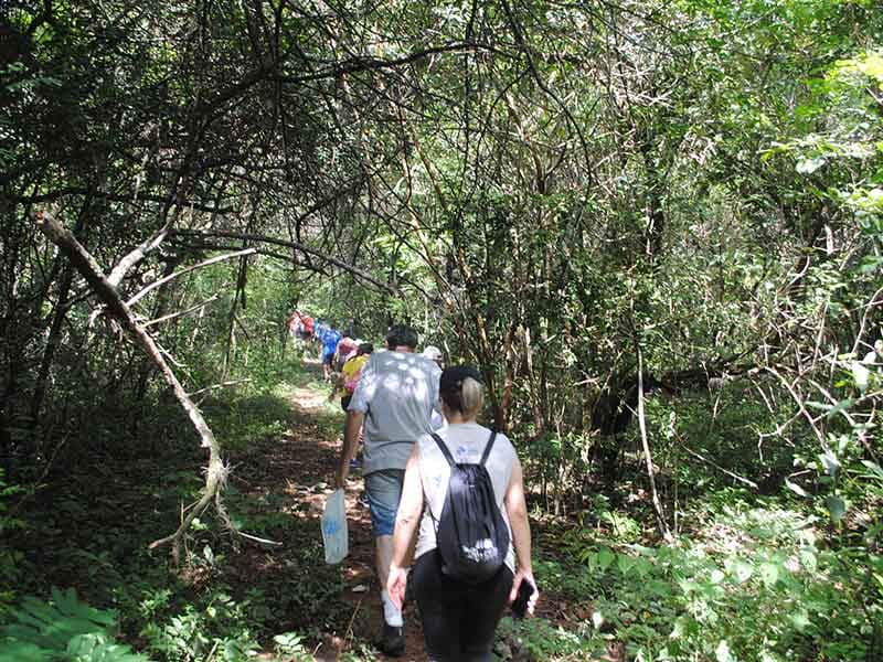 CAMINHADAS SOLIDÁRIAS NO CÂNDIDO FERREIRA SE TORNAM ATIVIDADES PERMANENTES