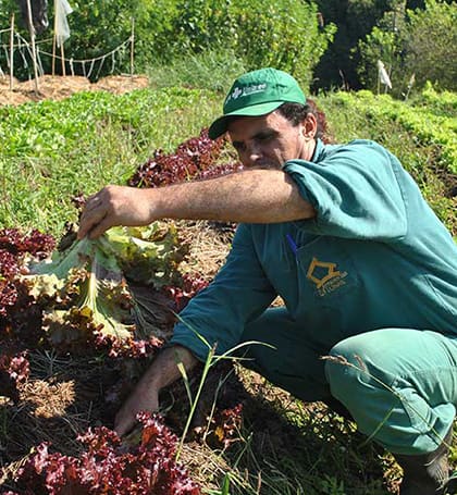agricultor-de-horta-organica