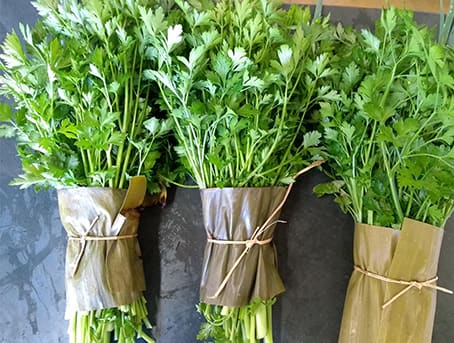 cheiro-verde-organico