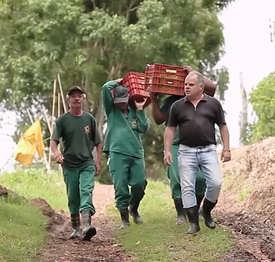 FAZENDA DE ORGÂNICOS EM CAMPINAS