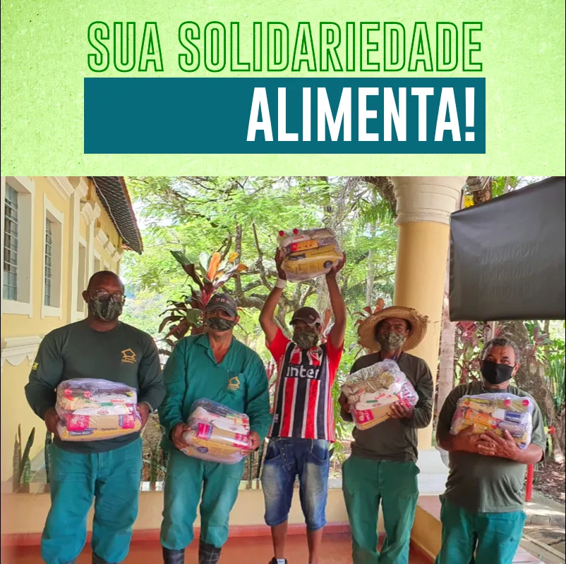 Campamnha de cestas basicas campinas