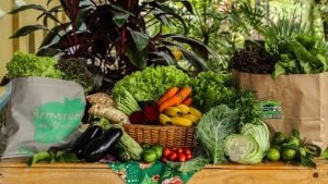 cestas-organicas-campinas