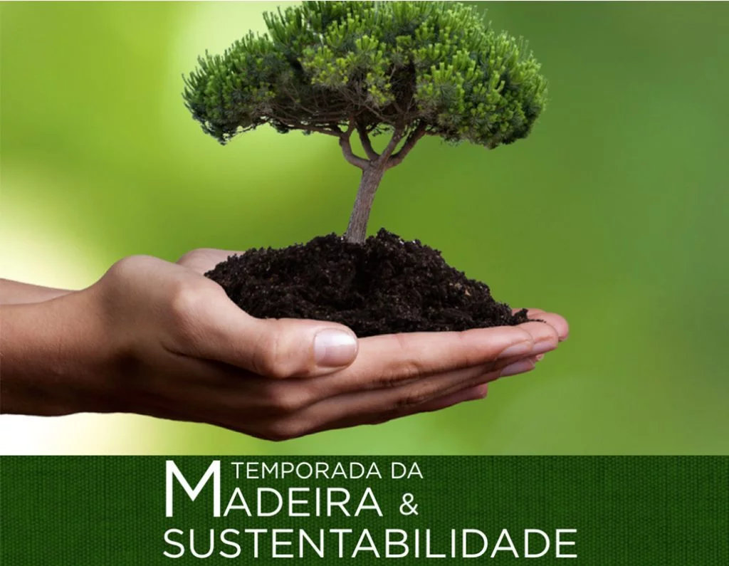 temporada da madeira e sustentabilidade