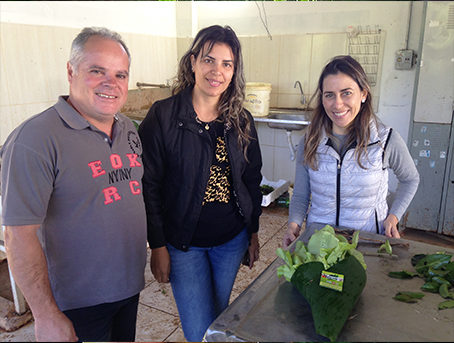 TESTES DE EMBALAGENS ORGÂNICAS TESTES DE EMBALAGENS ORGÂNICAS