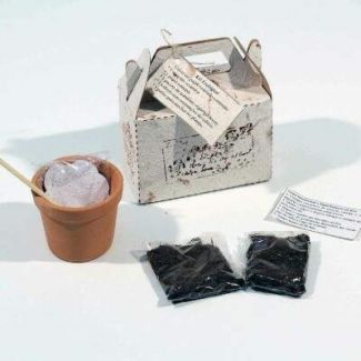 kit ecologico com papel semente
